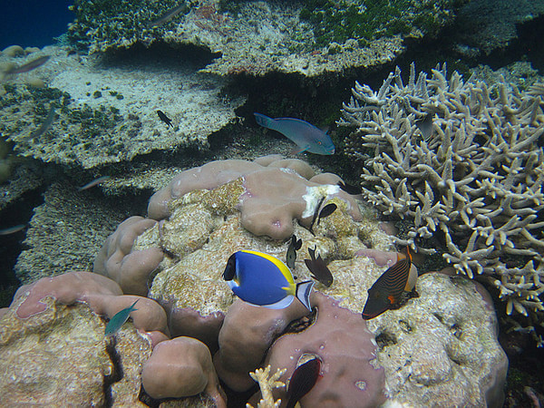 马尔代夫景点图片