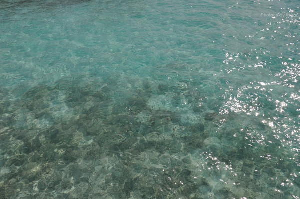 马尔代夫图片 马尔代夫图片