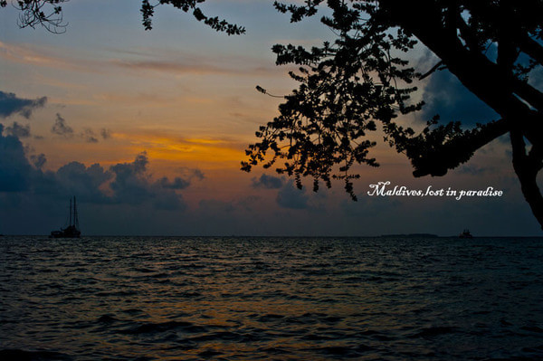 马尔代夫自助游图片