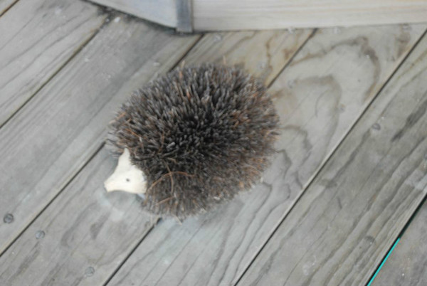 马尔代夫景点图片 马尔代夫景点图片