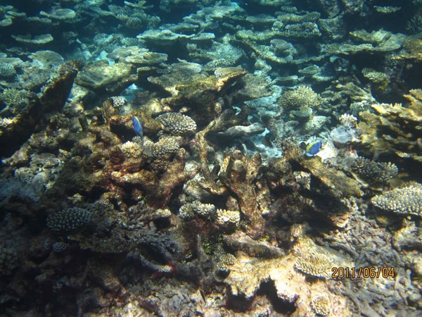 马尔代夫自助游图片