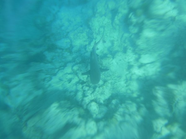 马尔代夫景点图片