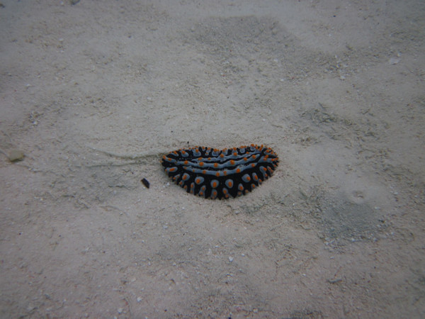 马尔代夫景点图片 马尔代夫景点图片