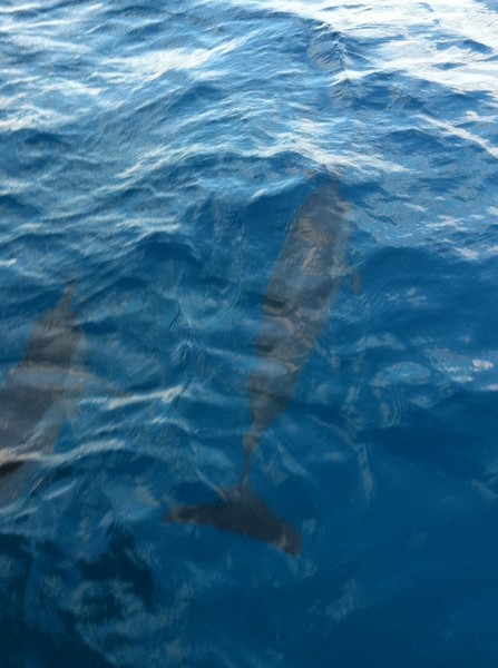 马尔代夫自助游图片 马尔代夫自助游图片