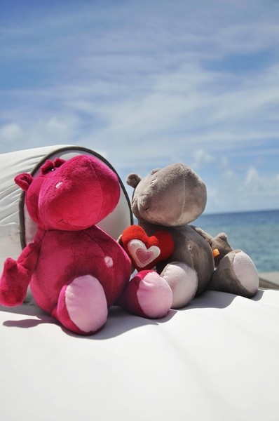 马尔代夫旅游攻略图片 马尔代夫旅游攻略图片