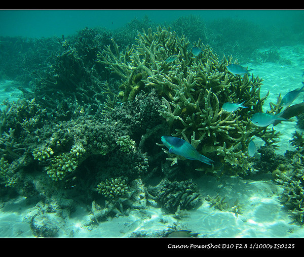 马尔代夫自助游图片