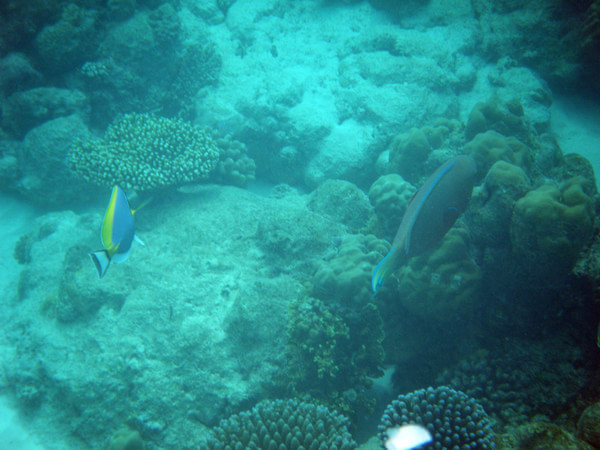 马尔代夫景点图片