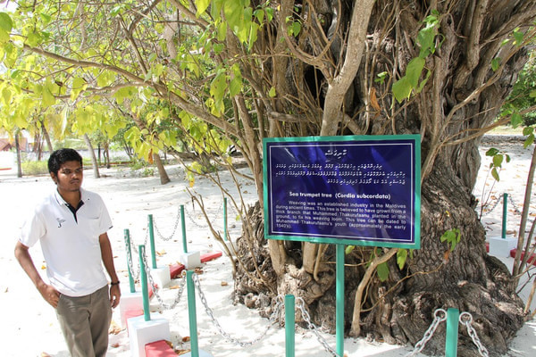 马尔代夫景点图片 马尔代夫景点图片
