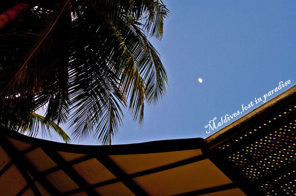 马尔代夫旅游攻略图片