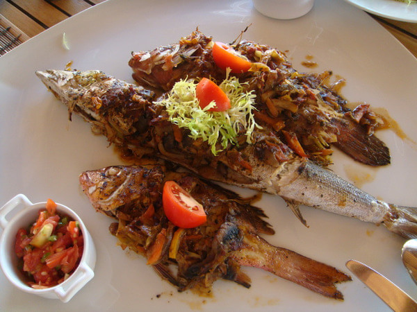 马尔代夫自助游图片