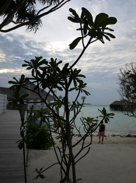 马尔代夫旅游攻略图片 马尔代夫旅游攻略图片