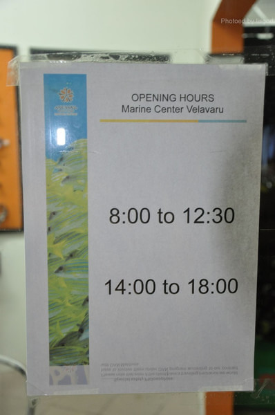 马尔代夫景点图片 马尔代夫景点图片