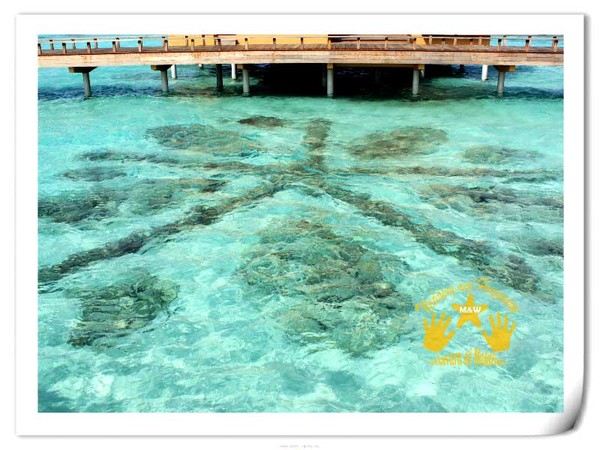 马尔代夫自助游图片 马尔代夫自助游图片