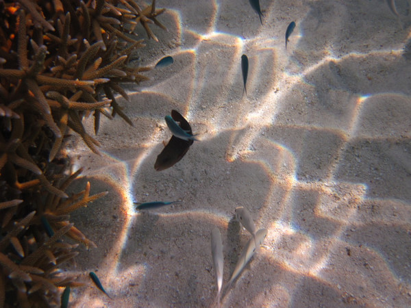 马尔代夫自助游图片 马尔代夫自助游图片