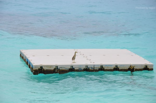 马尔代夫景点图片 马尔代夫景点图片