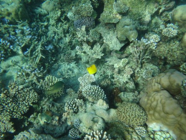 马尔代夫自助游图片 马尔代夫自助游图片