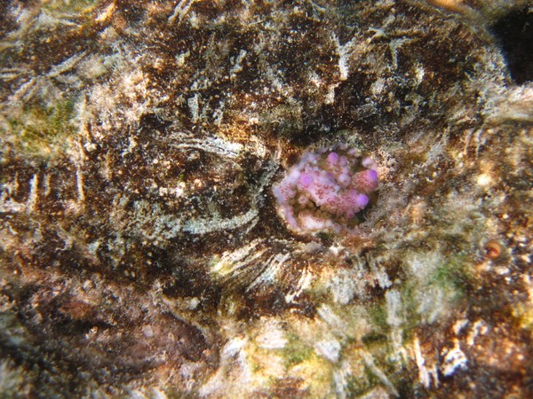 马尔代夫图片 马尔代夫图片