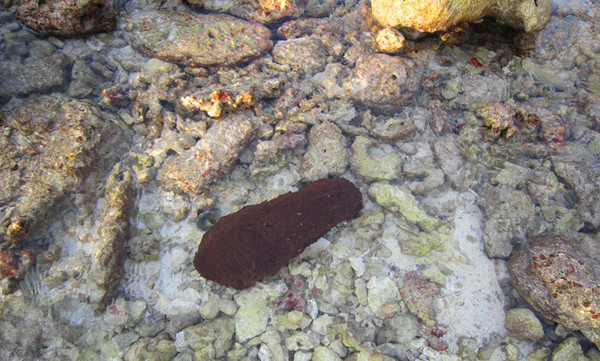 马尔代夫景点图片