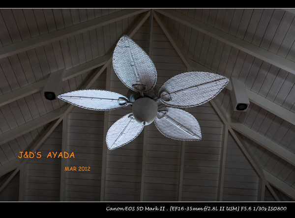 马尔代夫自助游图片