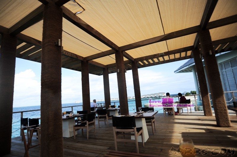 nEO_IMG_DSC_2370.jpg nEO_IMG_DSC_2370.jpg