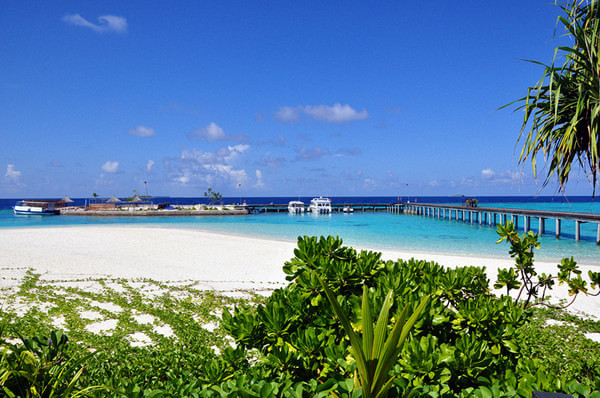 马尔代夫旅游攻略图片