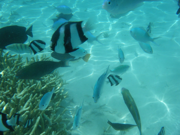 马尔代夫旅游攻略图片