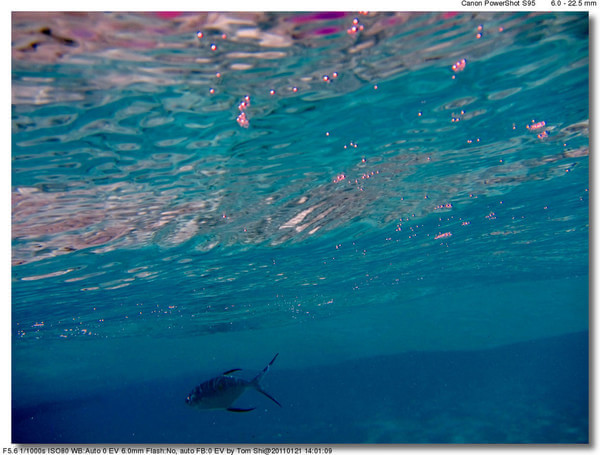 马尔代夫景点图片