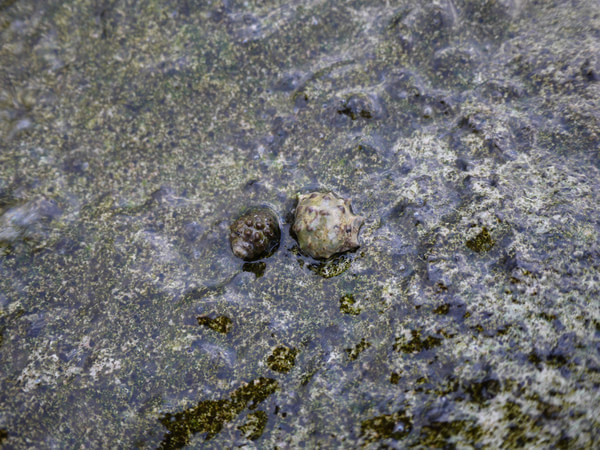 马尔代夫图片 马尔代夫图片