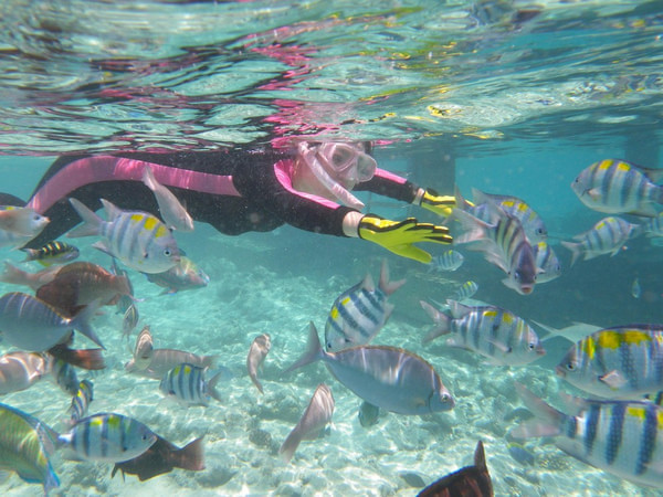 马尔代夫旅游攻略图片