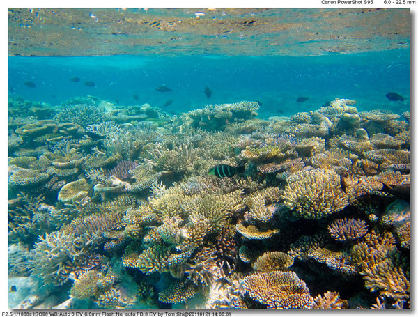 马尔代夫旅游攻略图片