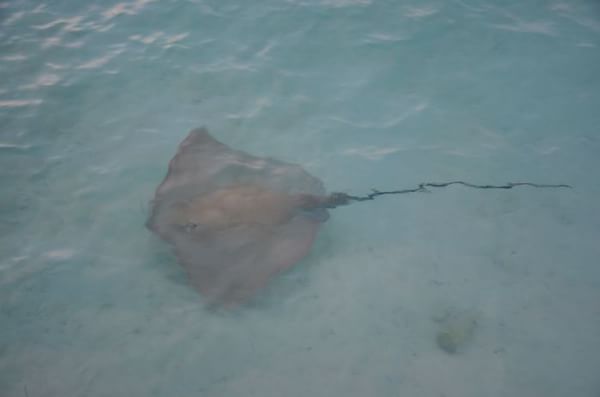 马尔代夫景点图片 马尔代夫景点图片