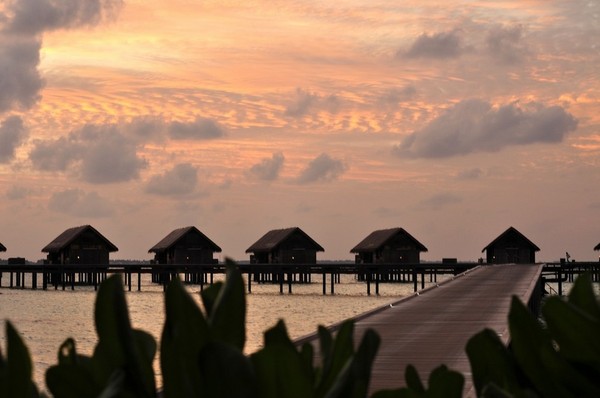 马尔代夫自助游图片