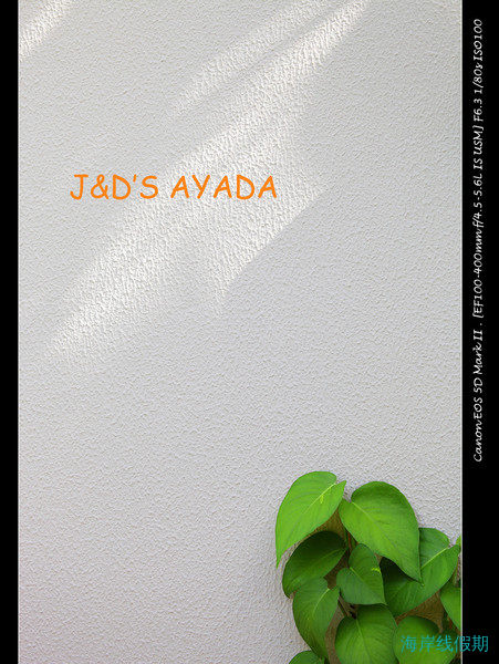 马尔代夫AYADA蜜月游记,马尔代夫游记，海岸线假期