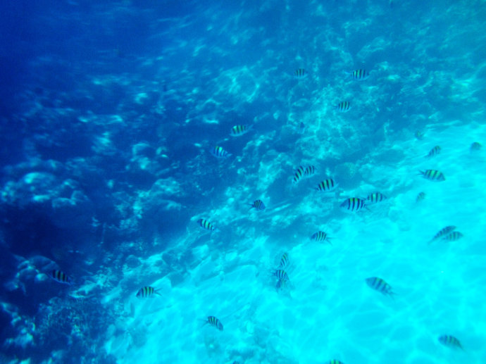 图说马尔代夫鲁滨逊岛游记