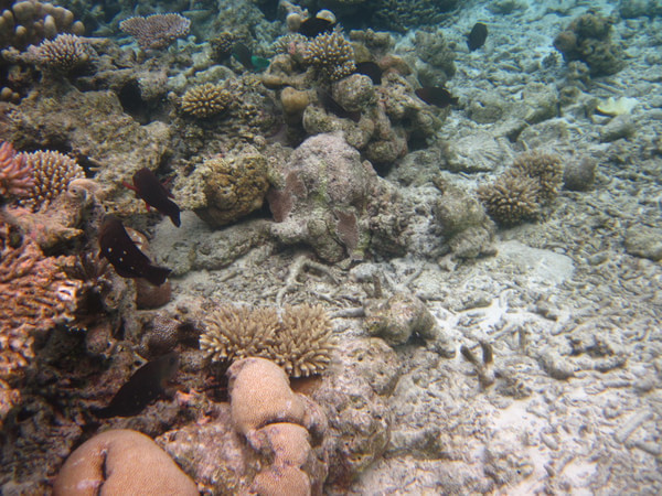 马尔代夫图片 马尔代夫图片