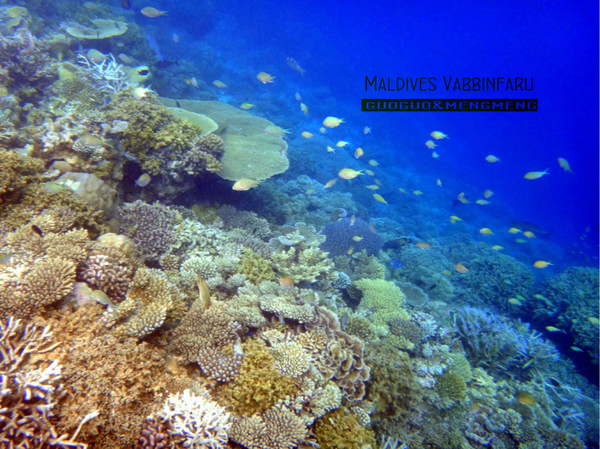 马尔代夫景点图片 马尔代夫景点图片