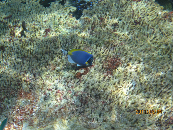 马尔代夫旅游攻略图片