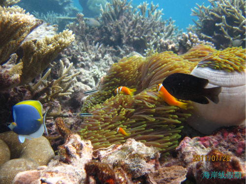 Maldives-Villingili,马尔代夫游记，海岸线假期