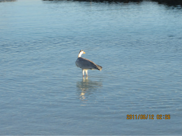 马尔代夫图片 马尔代夫图片
