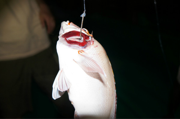 马尔代夫景点图片 马尔代夫景点图片