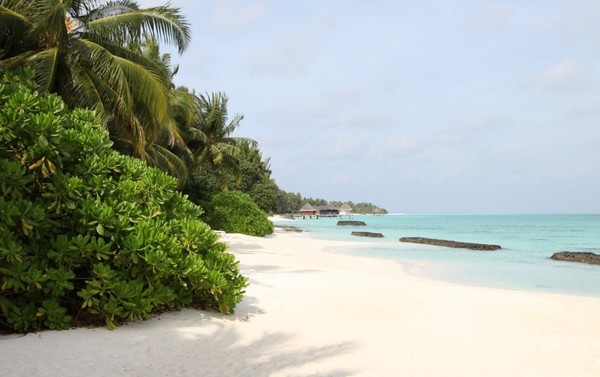 马尔代夫景点图片