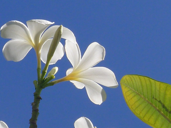马尔代夫旅游攻略图片 马尔代夫旅游攻略图片