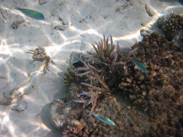 马尔代夫景点图片 马尔代夫景点图片