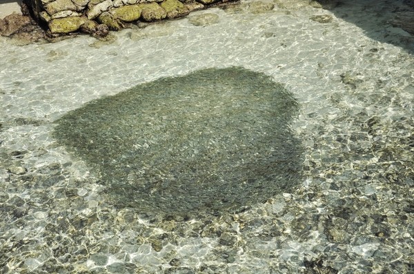 马尔代夫旅游攻略图片