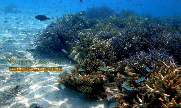 马尔代夫图片 马尔代夫图片