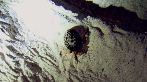 马尔代夫景点图片