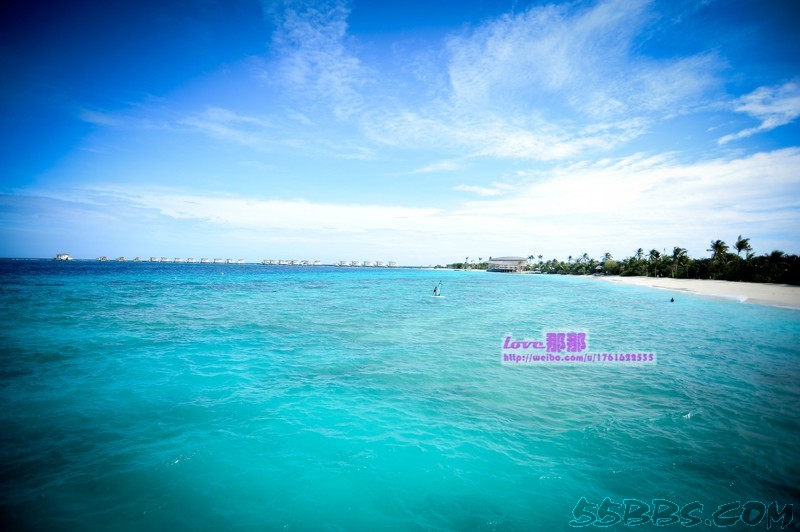 nEO_IMG_DSC_2460.jpg nEO_IMG_DSC_2460.jpg