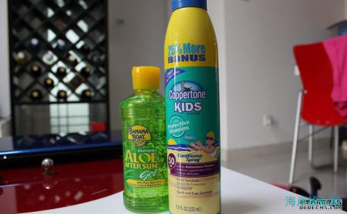 笨笨康&猪多多的马尔代夫Diva岛蜜月之旅游记和攻略,马尔代夫游记，海岸线假期