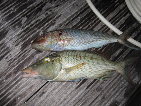 马尔代夫景点图片 马尔代夫景点图片