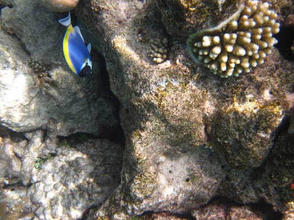 马尔代夫旅游攻略图片